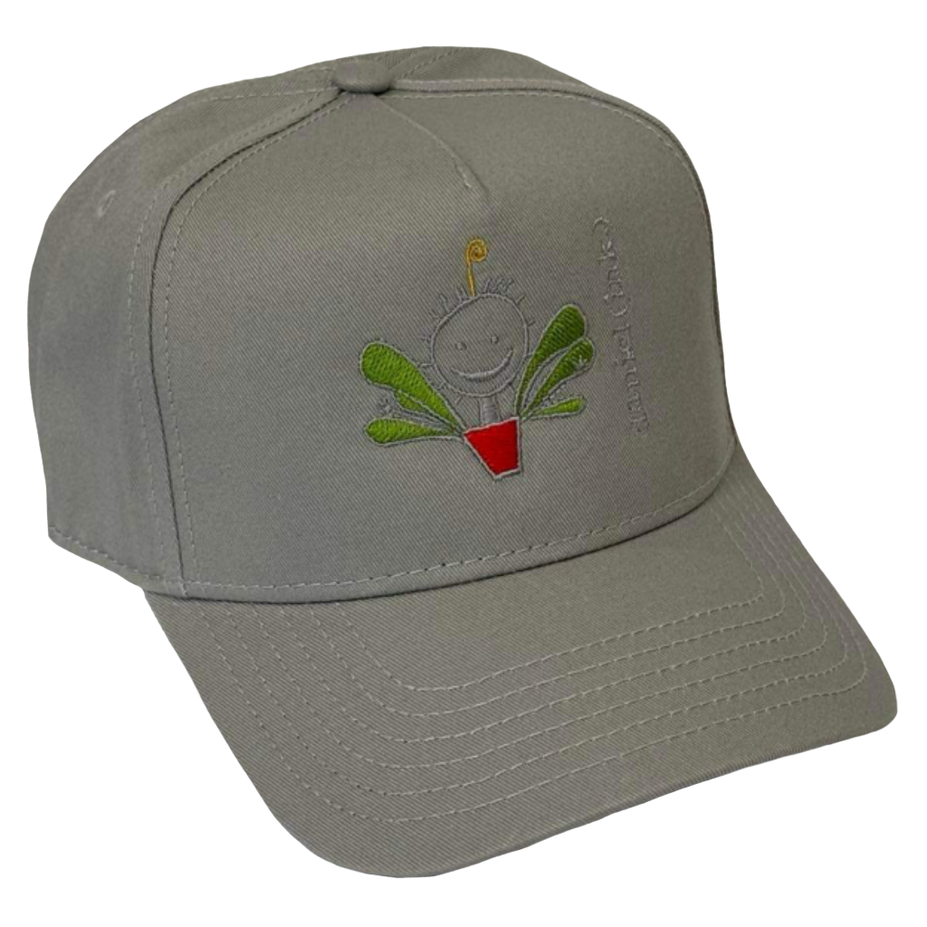 Storm snapback cap featuring an embroidered image of a happy humanoid pot plant. The plant person is smiling and has a red plant pot-shaped torso with green leaves sprouting from the torso and a gold antenna sprouting from the top of its head. The name daniel(ink.) is embroidered in silver thread next to the plant person.